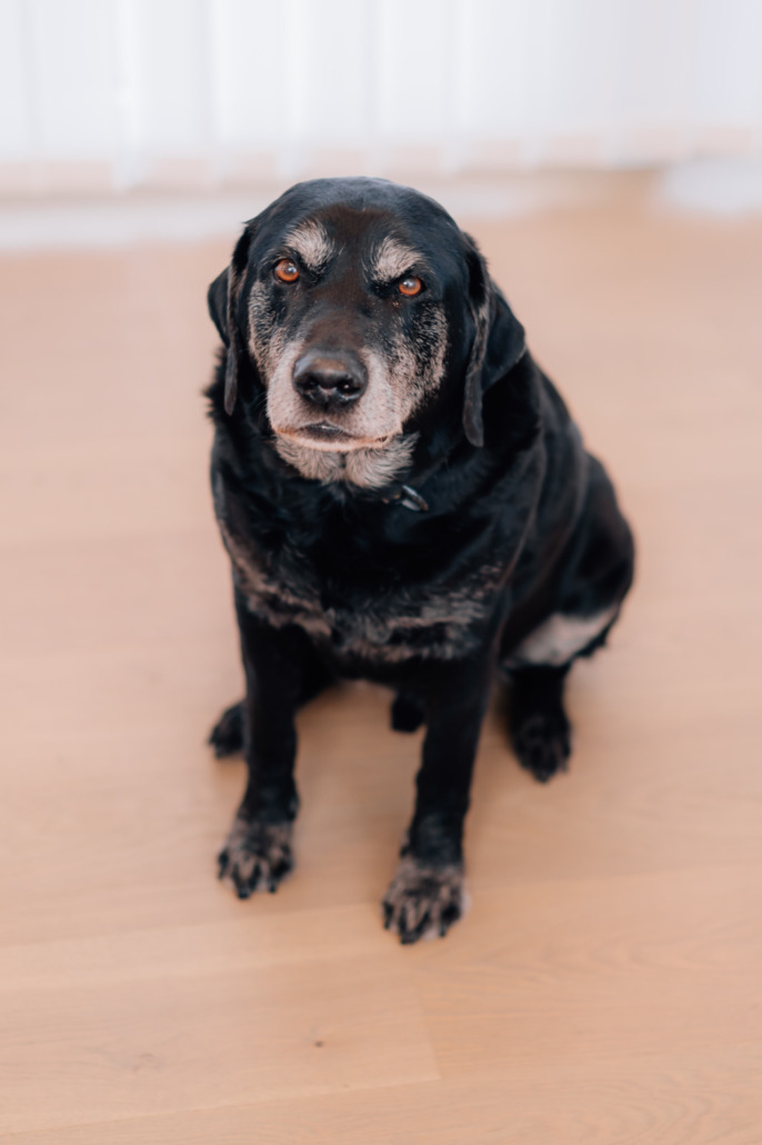 Duke